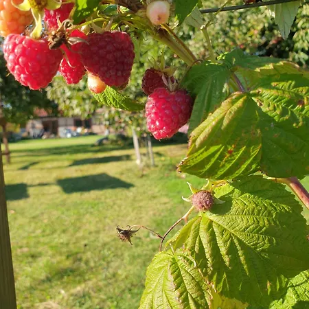 아파트 Peetsch Am 미로우