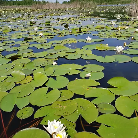 아파트 Peetsch Am *