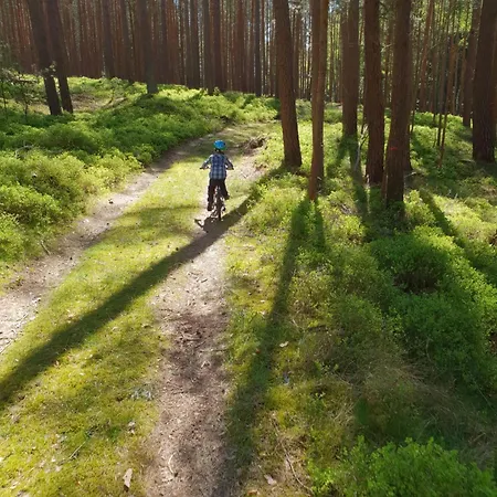 Peetsch Am 미로우