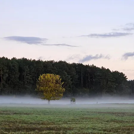 Peetsch Am 미로우