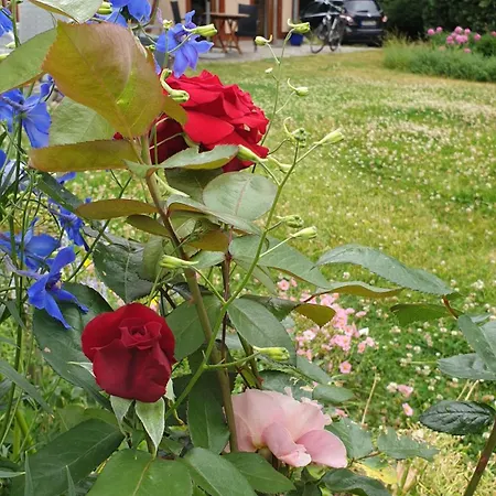 Peetsch Am * Mirow