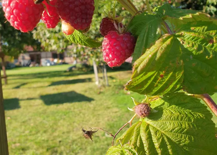Lejlighed Peetsch Am Mirow