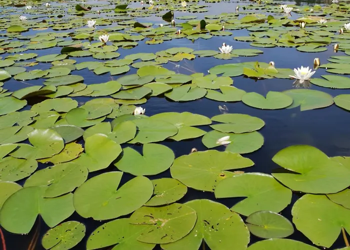 Lejlighed Peetsch Am *