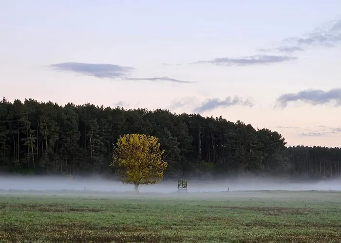 Peetsch Am Mirow